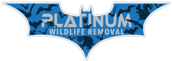 Northern Animal Removal LLC